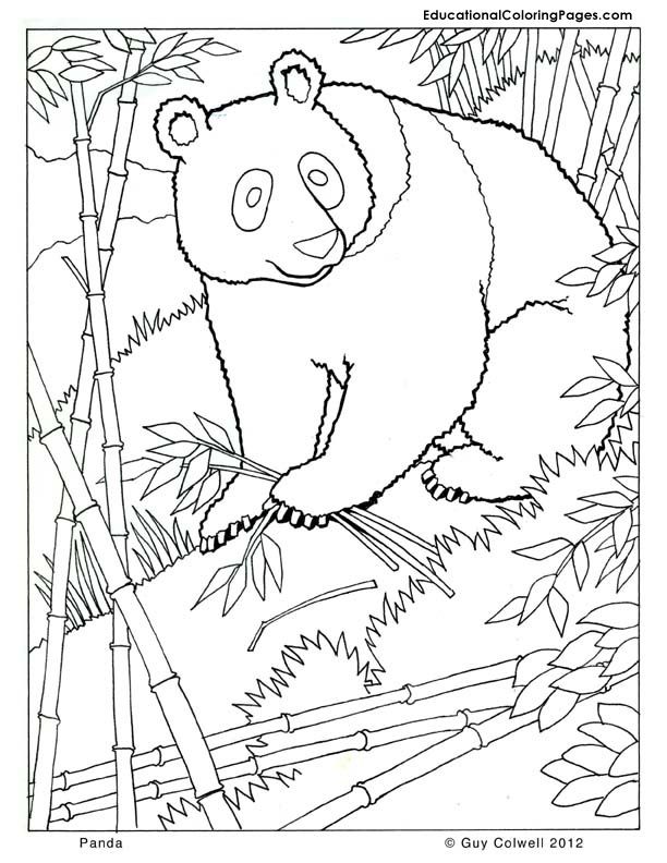 612x792 Mammals Book Four Coloring Pages Animal Coloring Pages For Kids