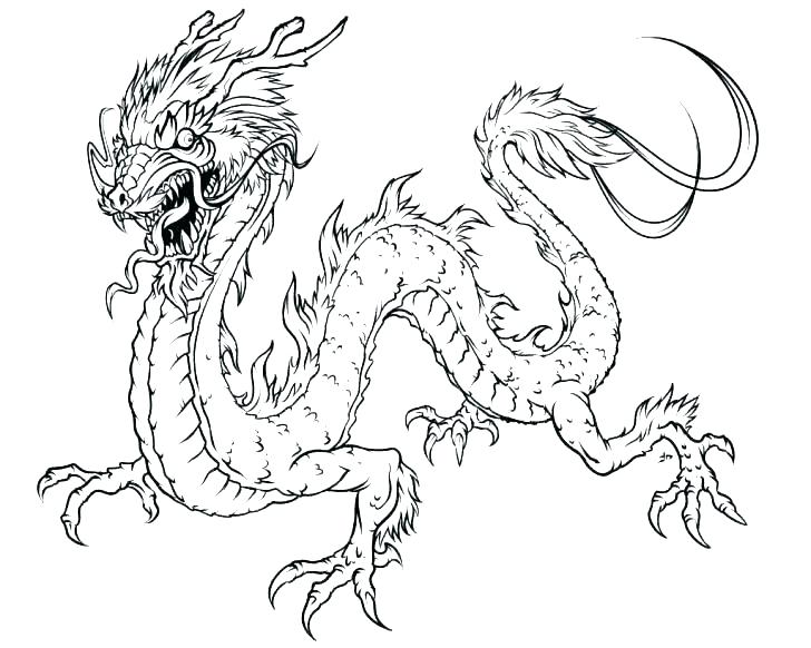 728x582 Wild Animal Coloring Pages Wild Animal Coloring Pages Jungle