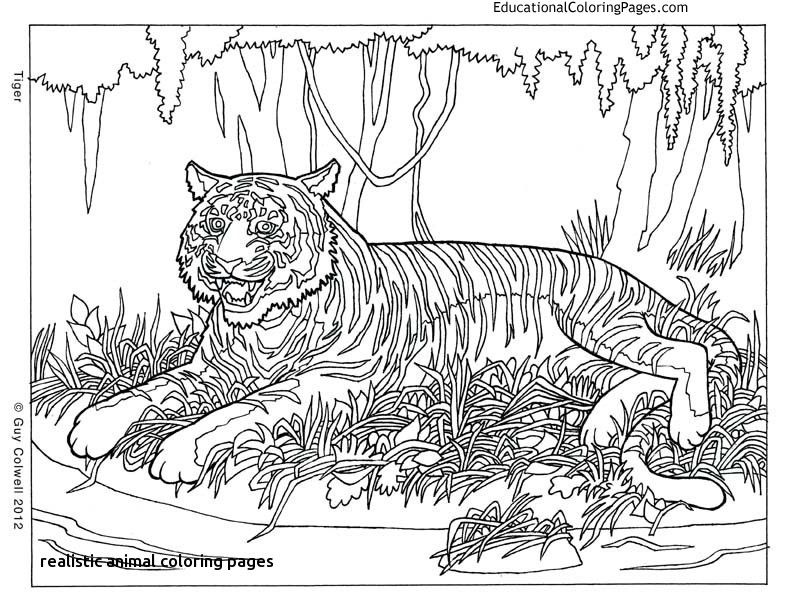 792x612 Pattern Animal Coloring Pages And Print For Free For Realistic