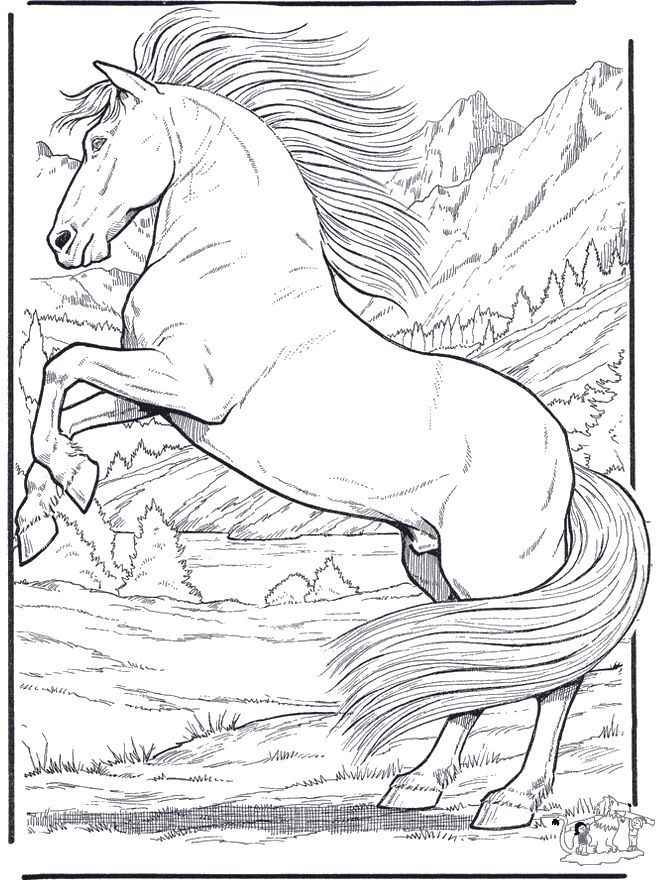 660x880 Realistic Animal Coloring Pages 01 Labels And Printables