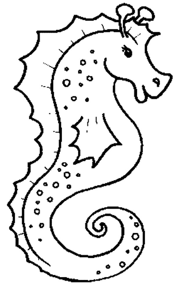 600x980 Sea Animal Coloring Pages Printable Free Realistic Seahorse Free