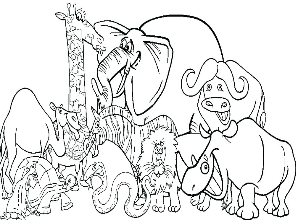 1007x745 Coloring Animal Pages Zoo Animal Coloring Pages To Print Animal