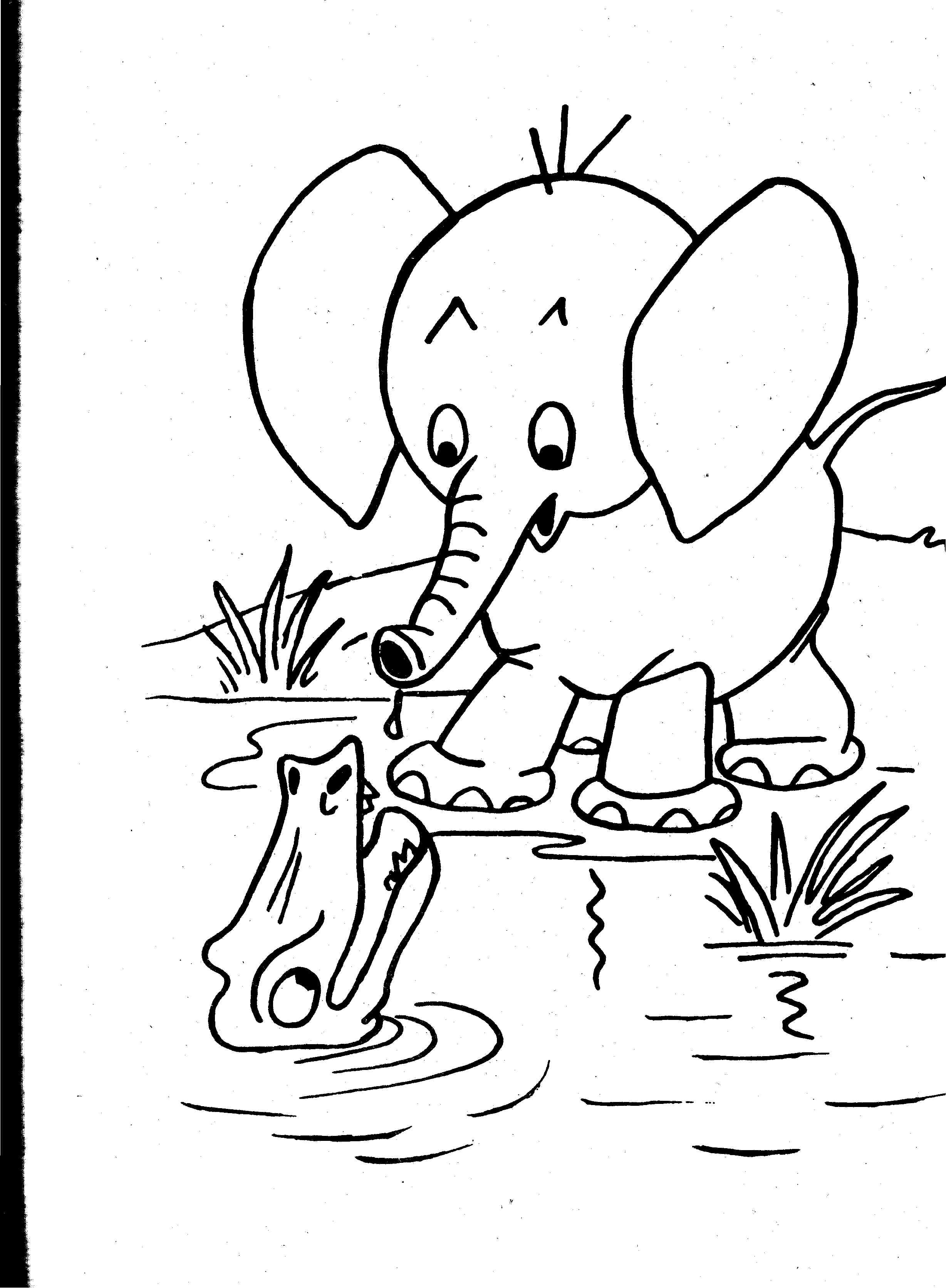2456x3344 Colouring Pages Of Wild Animals Www Elvisbonaparte Coloring