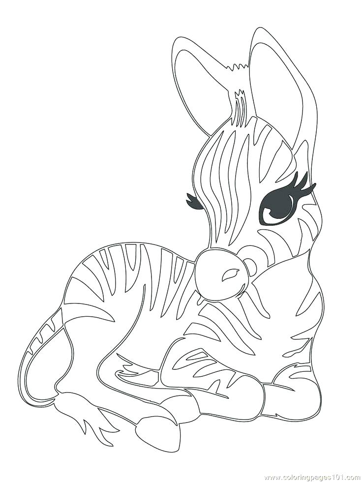 736x980 Baby Animal Coloring Pages Free By Animals Coloring Pages Picture