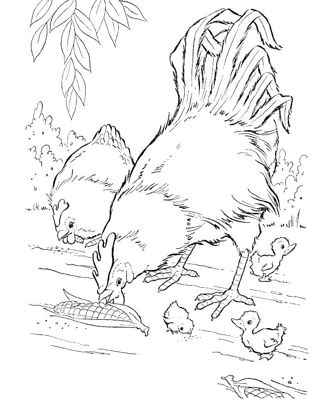 670x820 Free Printable Animal Coloring Pages Baby Farm Animals Coloring