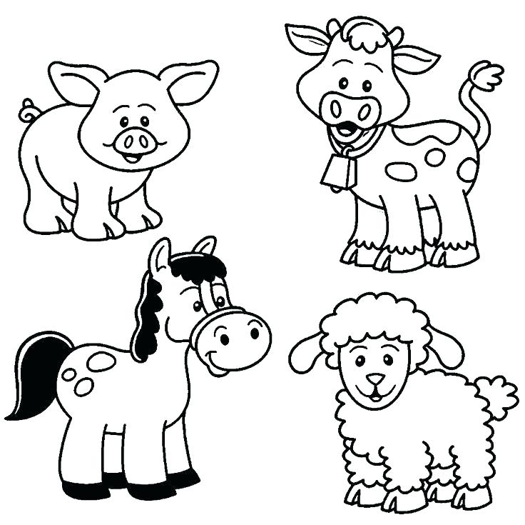 736x735 Real Animal Coloring Pages Animals Coloring Pages Free Zoo Page