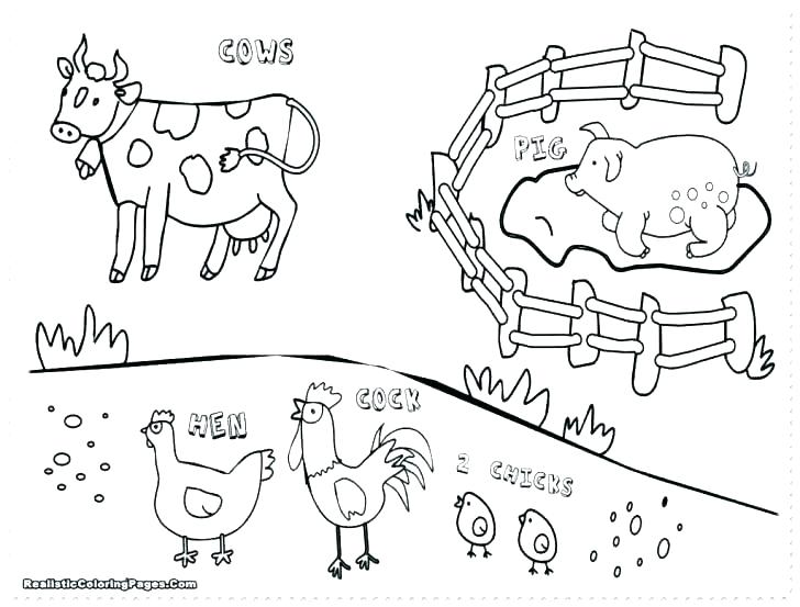 728x553 Realistic Animal Coloring Pages Ocean Animals Coloring Pages Free