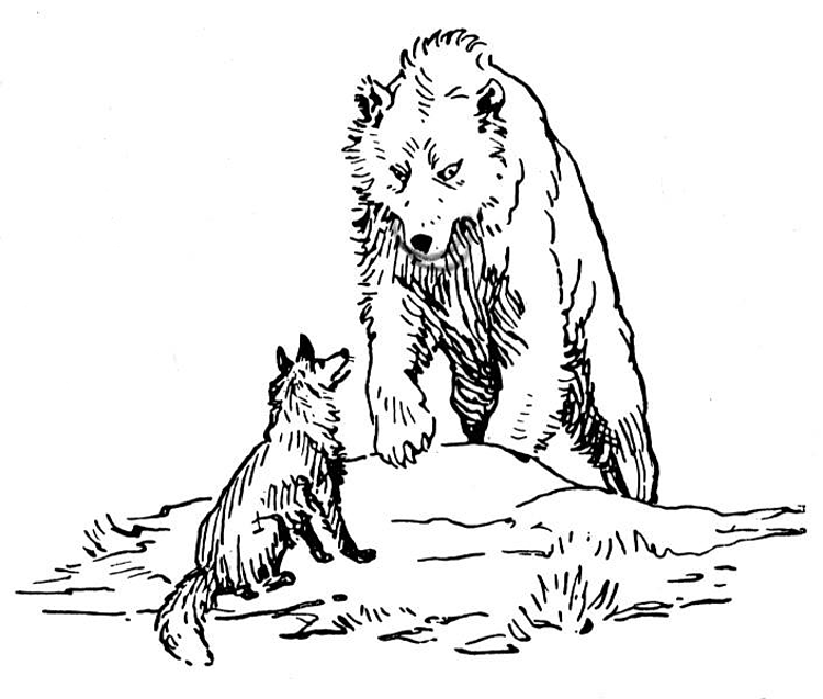 750x637 Grizzly Bear Coloring Pages