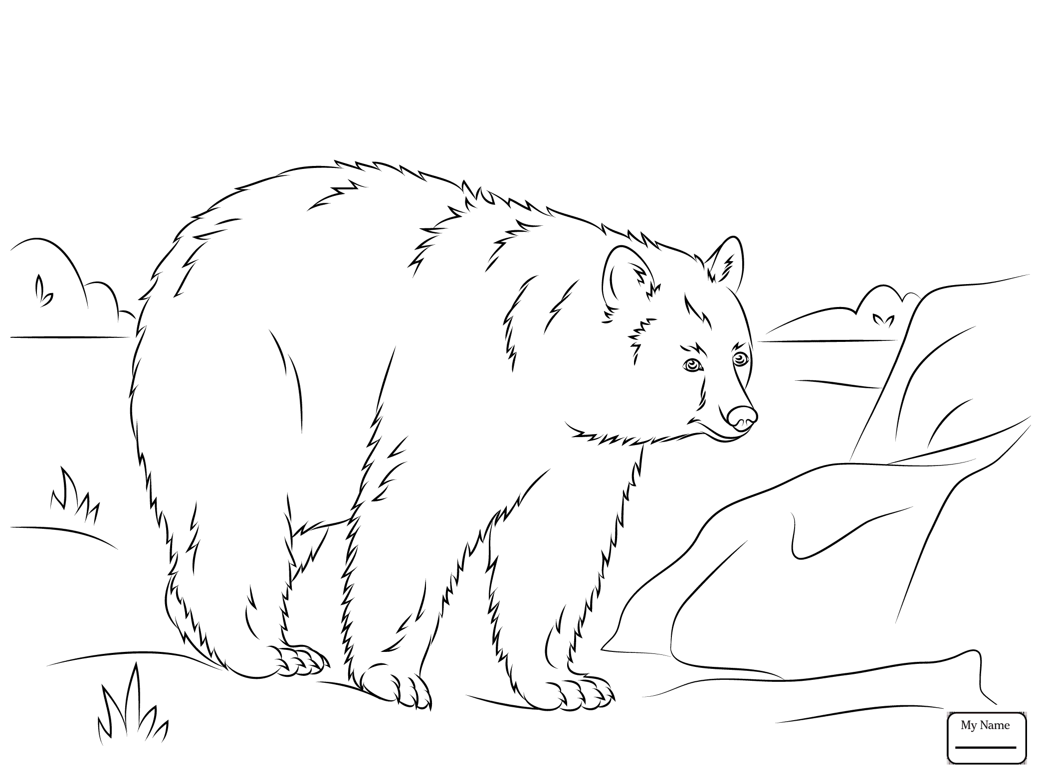 2087x1557 Awesome American Black Bears Coloring Pages Collection Printable