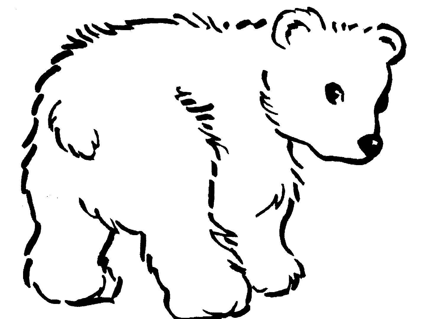1464x1080 Realistic Bear Coloring Pages New Free Printable Teddy Bear