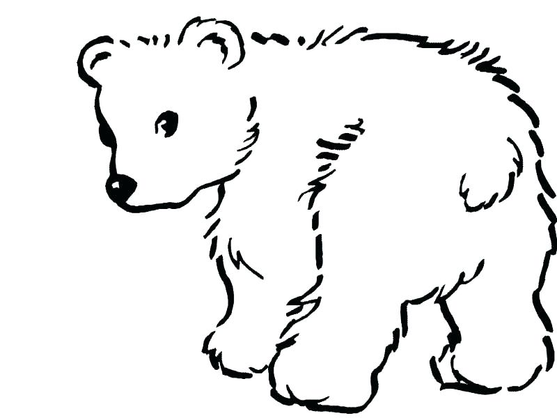 800x600 Shepherd Coloring Pages Printable Shepherd Coloring Pages
