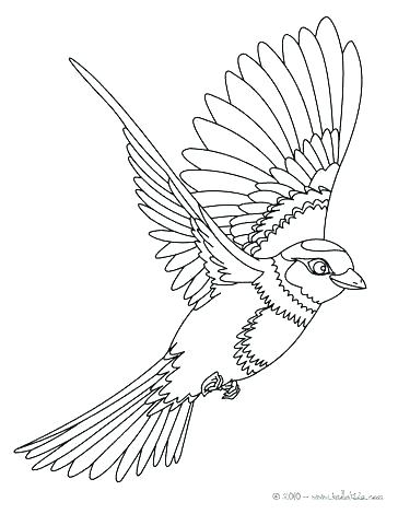 364x470 Free Realistic Bird Coloring Pages Flying Bird Coloring Page