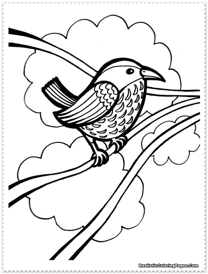 728x958 Lovely Realistic Bird Coloring Pages For Books With Of Animals