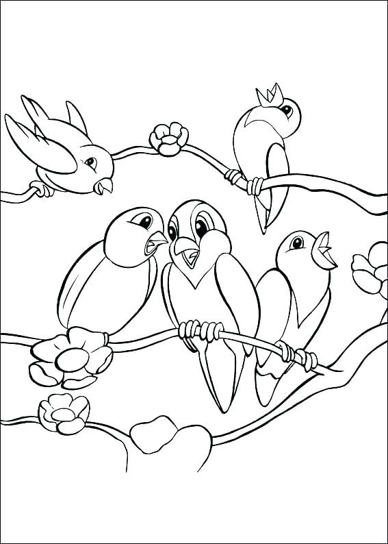 567x794 Bird Coloring Pages Free Also Robin Bird Coloring Pages Free