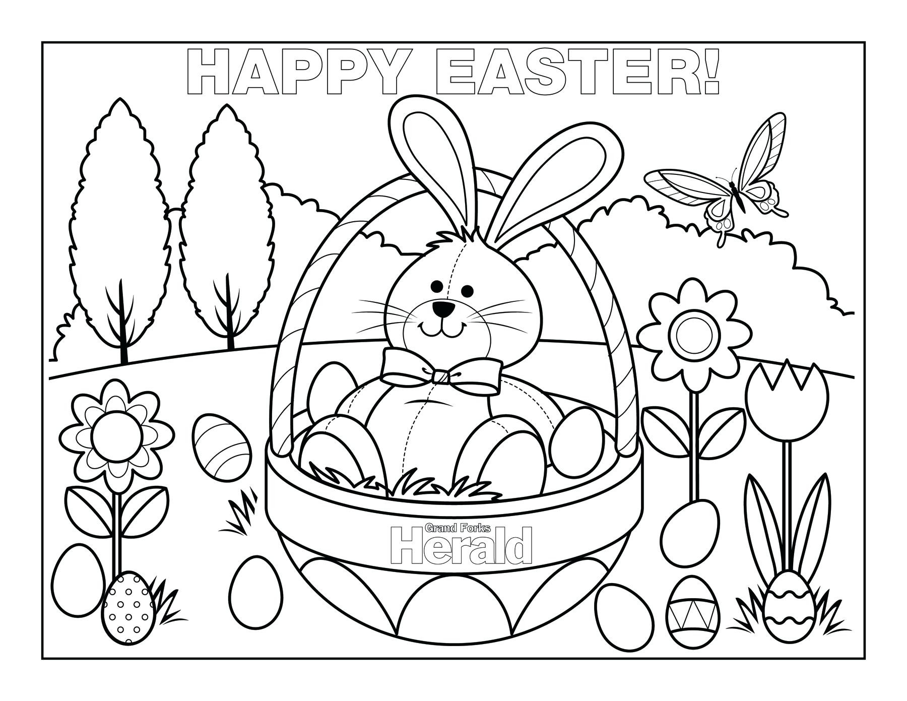 Realistic Bunny Coloring Pages