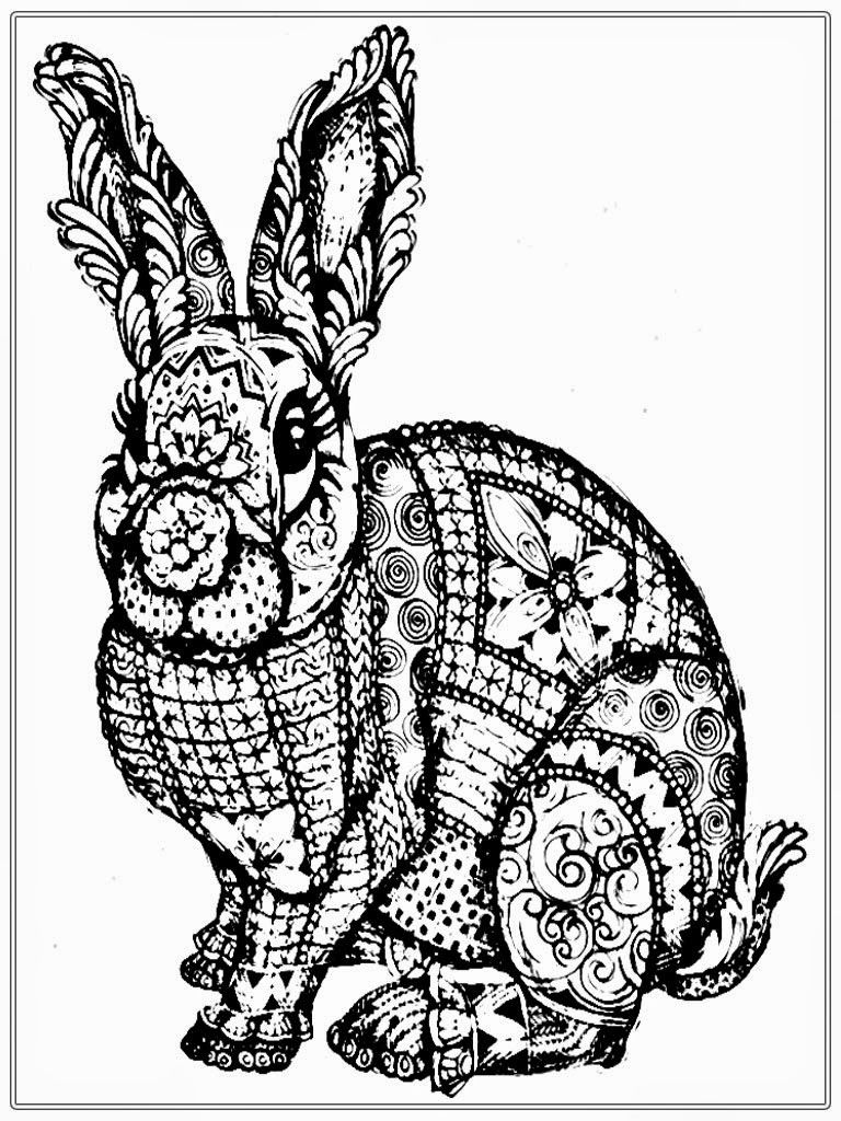 768x1024 Largest Realistic Bunny Coloring Pages Page