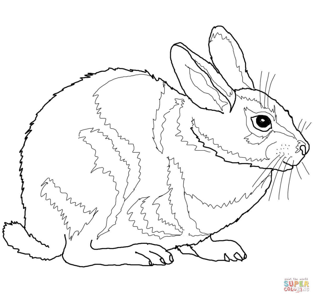 1200x1136 Realistic Bunny Coloring Pages New Jack Rabbit Drawing