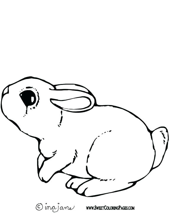 576x720 Baby Bugs Bunny Coloring Pages