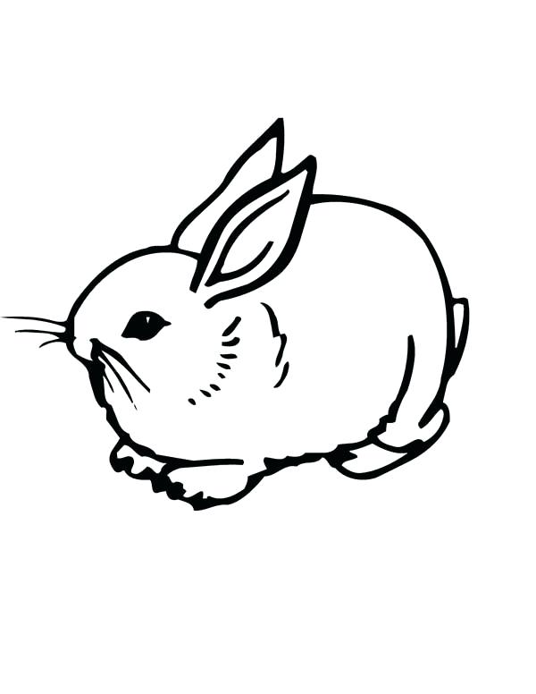 600x776 Bunny Coloring Pages Bunnies Realistic Image Of A Sweet Little
