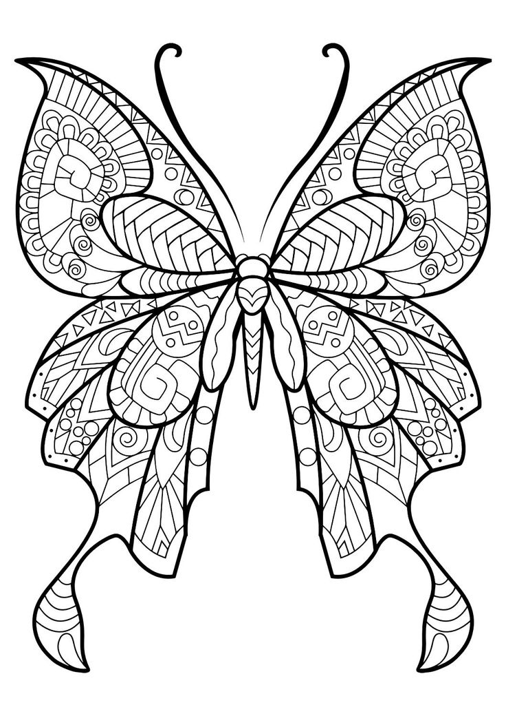 Realistic Butterfly Coloring Pages