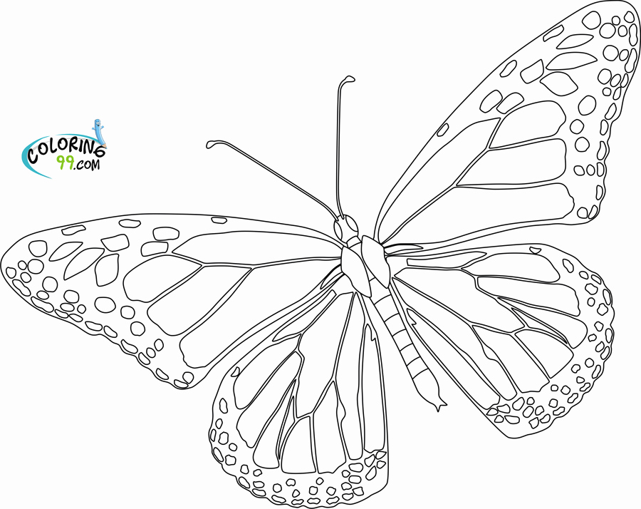 900x714 Butterfly Coloring Pages Realistic Butterfly Coloring Pages