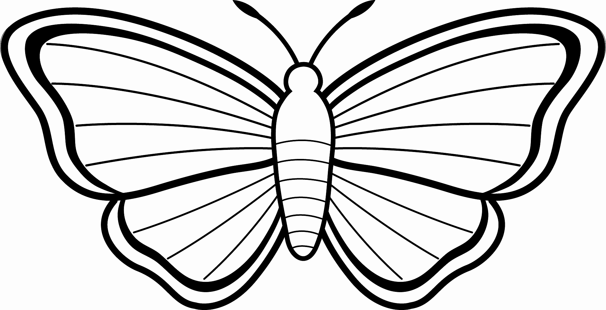 2000x1024 Coloring Pages Sea Animals Realistic Butterfly Coloring Pages