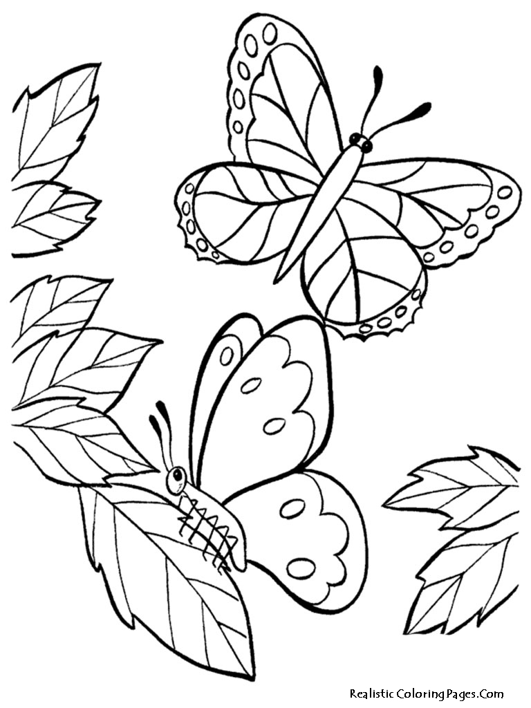 768x1024 Cute Butterfly Coloring Pages