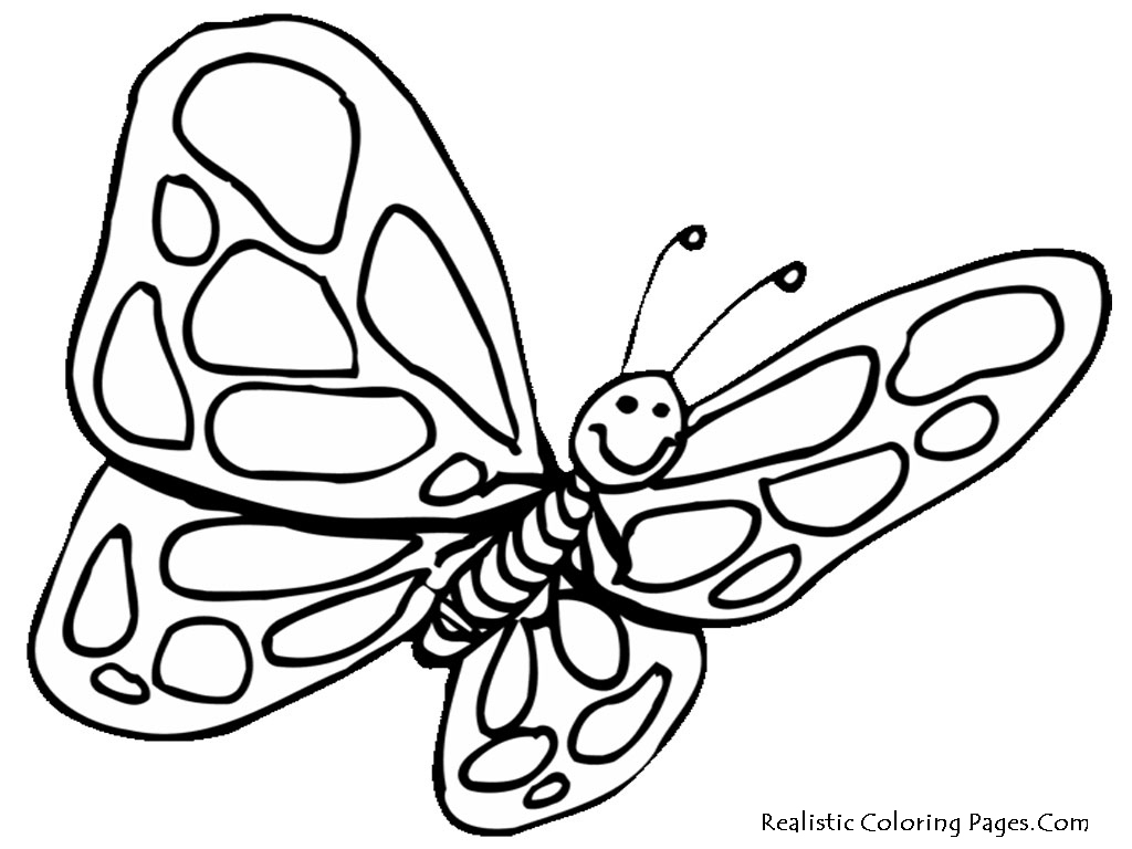 1024x768 Free Butterfly Coloring Pages Beautiful Realistic Butterfly