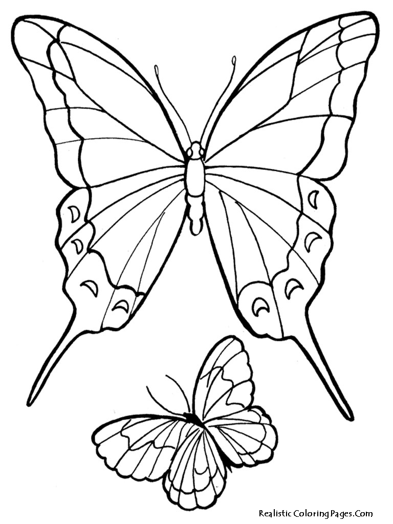 768x1024 Realistic Butterfly Coloring Pages