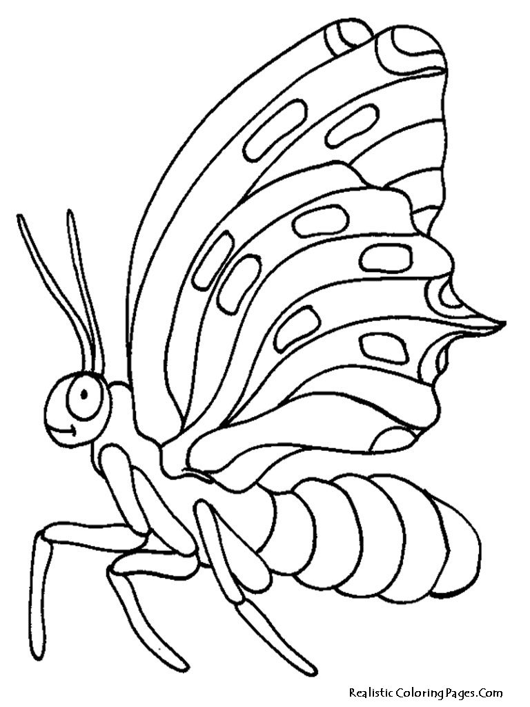 768x1024 Realistic Butterfly Coloring Pages Realistic Coloring Pages