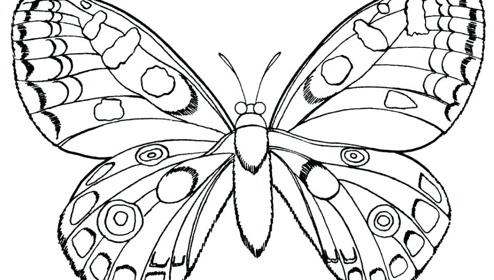 960x544 Butterfly Coloring Pages Printable