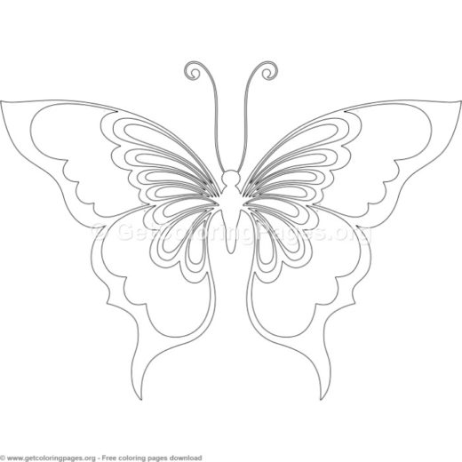 520x520 Realistic Butterfly Coloring Pages