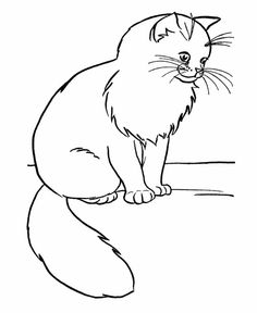 236x288 Printable 29 Realistic Cat Coloring Pages 4753
