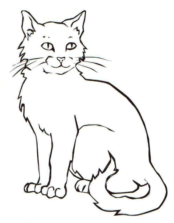 Realistic Cat Coloring Pages Printable