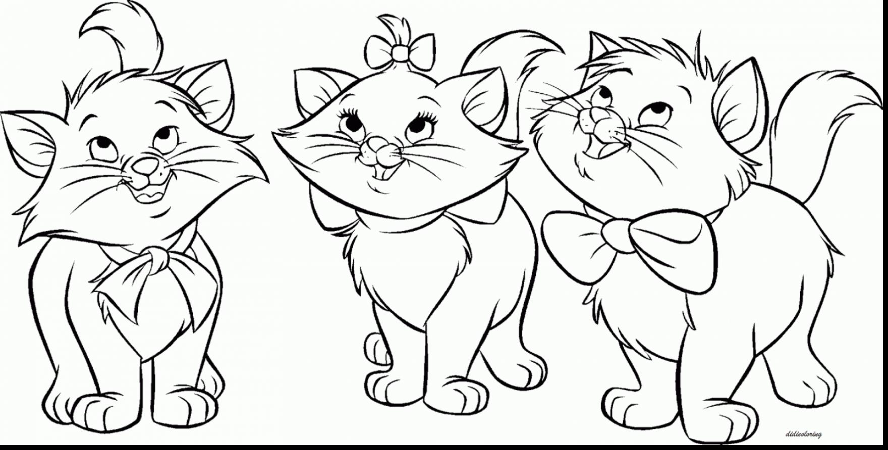 1760x892 Realistic Zoo Wild Cat Coloring Page