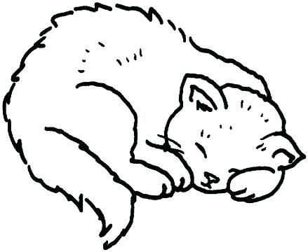439x360 Cat Coloring Book Pages And Printable Realistic Cat Coloring Pages