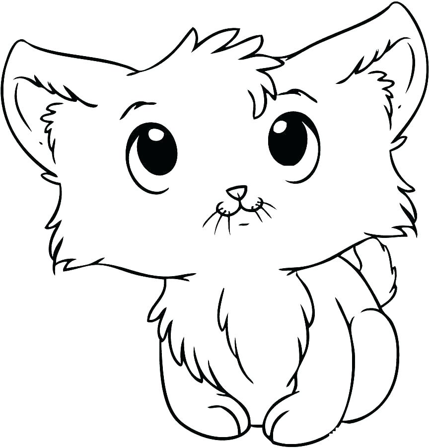 866x902 Tabby Cat Coloring Pages