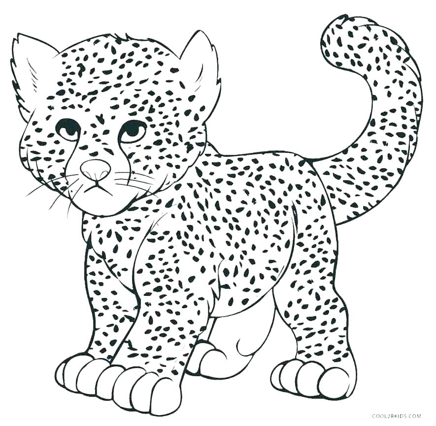 Realistic Cheetah Coloring Pages