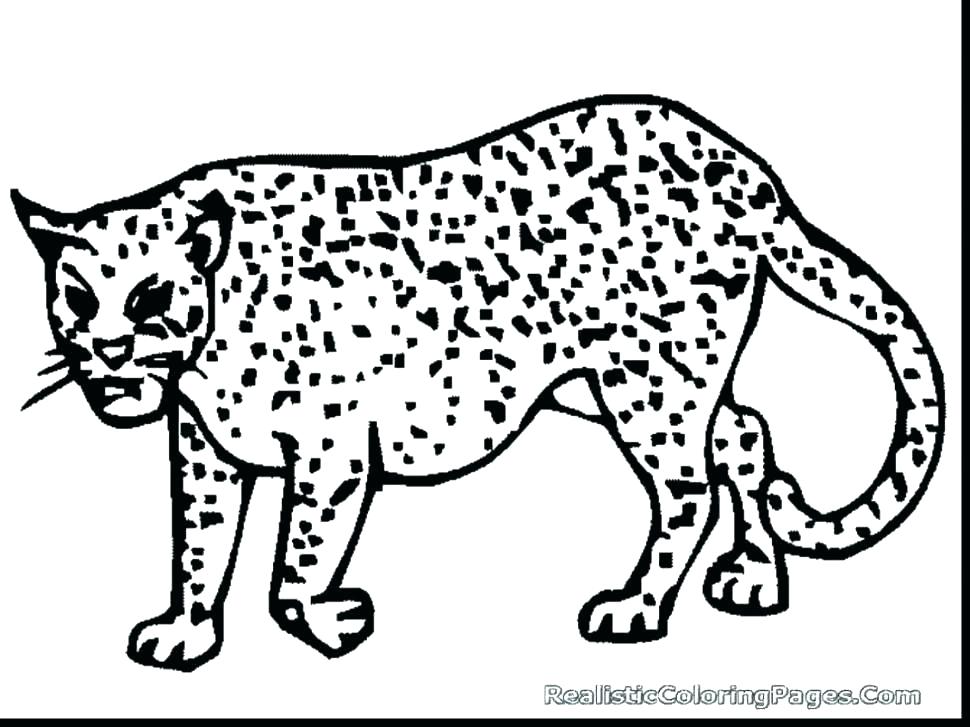 970x727 Cheetah Coloring Pages Cheetah Running Coloring Pages