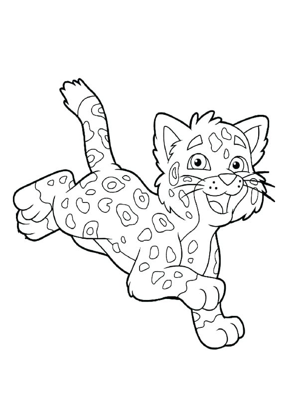 600x800 Cheetah Coloring Pages Real Cheetah Coloring Pages