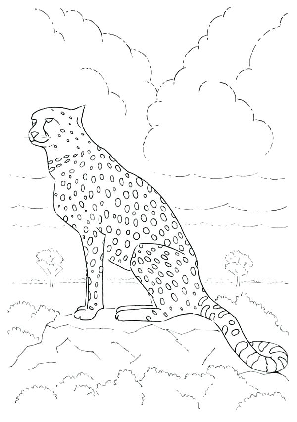 600x852 Cheetah Coloring Pages To Print Cheap Color Pages Animals Crayola