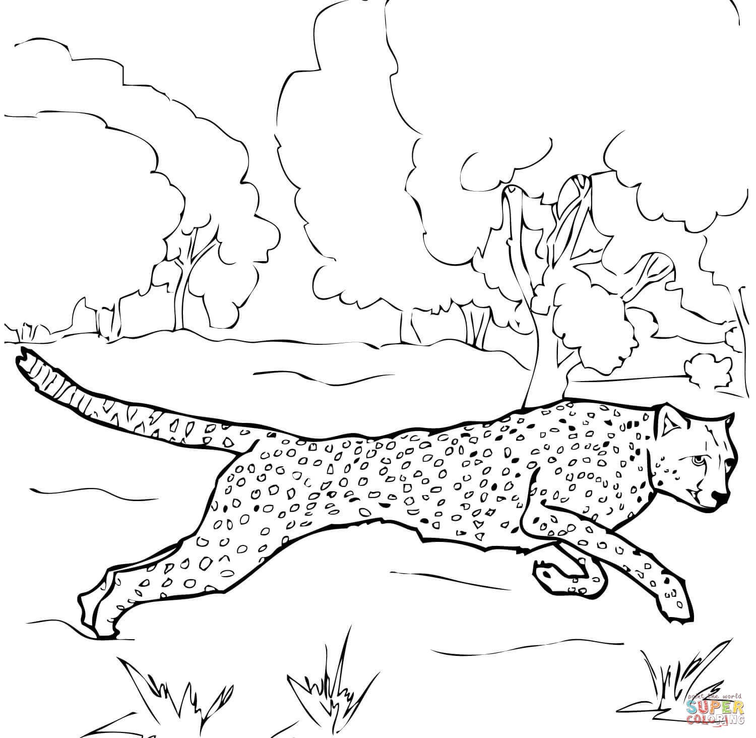 1500x1464 Realistic Cheetah Coloring Pages Resume
