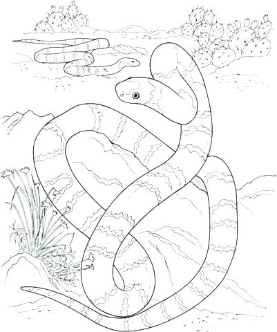 Realistic Coloring Pages