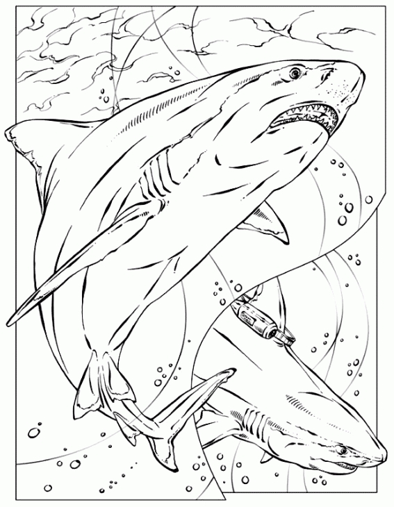 567x730 Realistic Coloring Pages 8449cb0d90dca621222a7211db7ad2a8