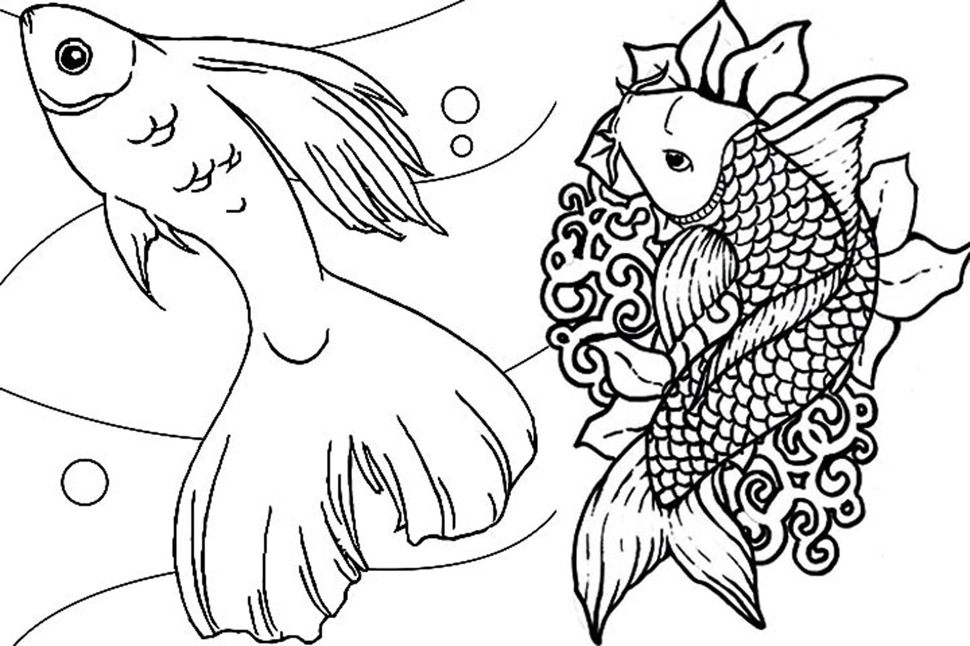 2000x1333 Fish Coloring Pages For Adults