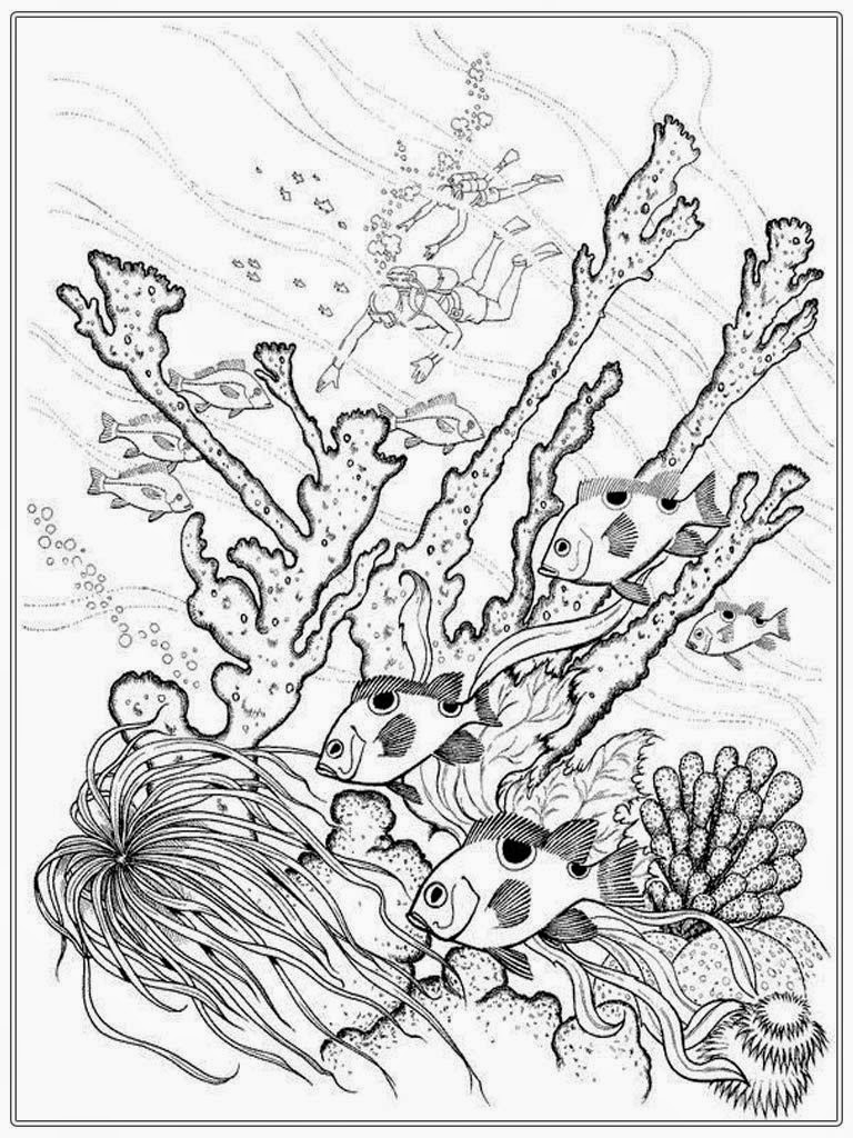 768x1024 Best Of Adult Coloring Pages Of The Ocean Collection Printable