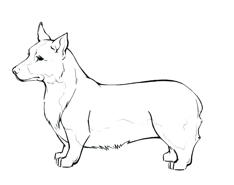 940x743 Hot Dog Coloring Page Hot Dog Coloring Page Dog Coloring Pages