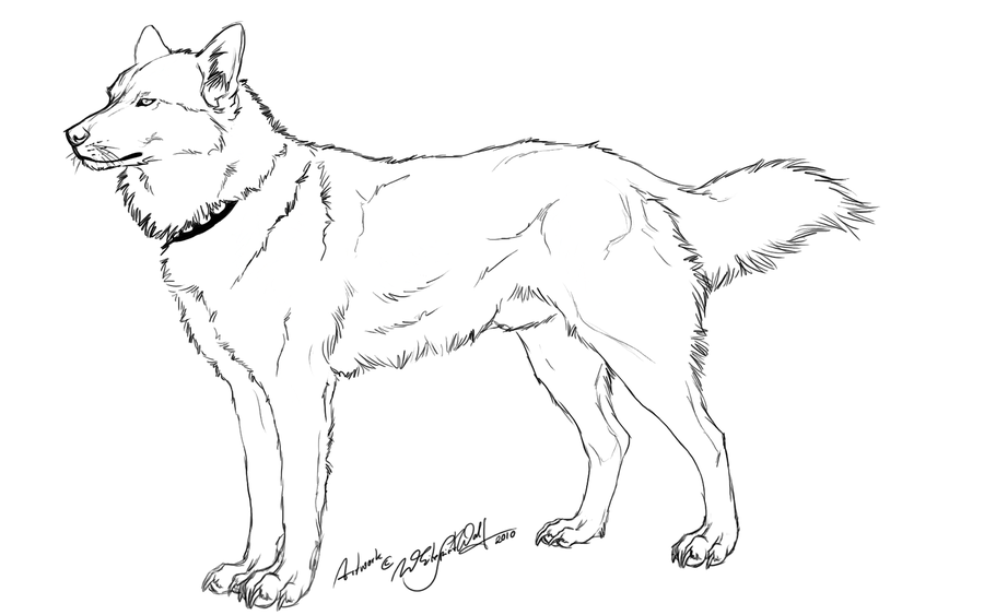 900x563 Husky Clipart Realistic Dog