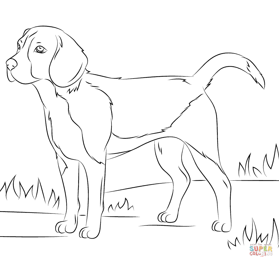 936x864 Adults Dog Coloring Page Pages For Online Hard Toddlers Cute Puppy