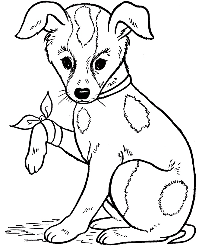 670x820 Printable Dog Coloring Pages Best Of Realistic Coloring Pages Dogs